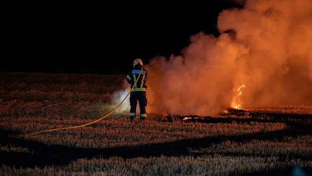 Trockenheit und Hitze sorgten zuletzt für erhöhte Wald- und Flurbrandgefahr und viele Einsätze.