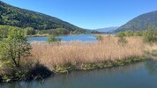 Beim Sanierungsprojekt „Ossiacher See – Bleistätter Moor“ werden Gewässerschutz, ...