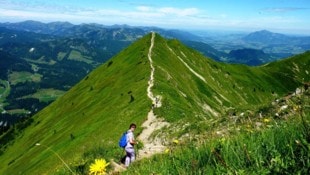 Das Fellhorn ist ein sehr beliebter Wanderberg (Archivbild). 