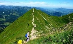 Das Fellhorn ist ein sehr beliebter Wanderberg (Archivbild). 