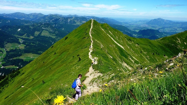 Das Fellhorn ist ein sehr beliebter Wanderberg (Archivbild).