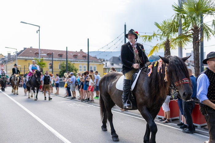 Stute Paloma bei ihrem Auftritt beim Trachtenumzug