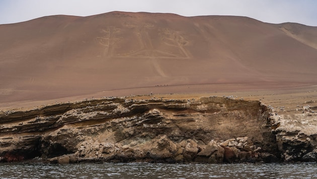 Bei den jahrtausendealten sogenannten Nazca-Linien handelt es sich um Scharrbilder von ...