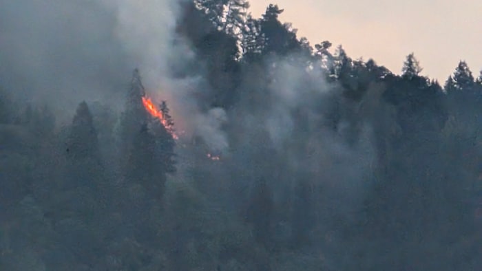 Samstagabend brach der Waldbrand bei Pernegg aus.