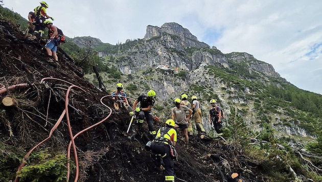 Die Flammen fraßen sich regelrecht in den Boden, selbst das Wurzelwerk der Bäume verkohlte.