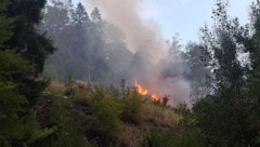 In Pernegg kämpfen die Feuerwehren weiter gegen den Waldbrand an.