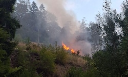In Pernegg kämpfen die Feuerwehren weiter gegen den Waldbrand an.