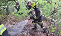 Am Guglzipf in Berndorf konnte nach 45 Minuten „Brand Aus“ gegeben werden. Die Stelle wurde ...