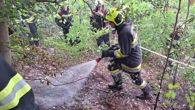 Am Guglzipf in Berndorf konnte nach 45 Minuten „Brand Aus“ gegeben werden. Die Stelle wurde ...