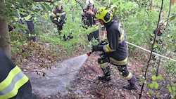 Am Guglzipf in Berndorf konnte nach 45 Minuten „Brand Aus“ gegeben werden. Die Stelle wurde ...