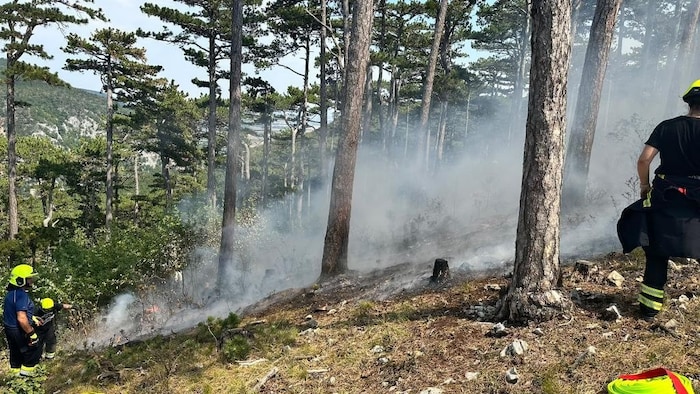Steiles Einsatzgebiet beim Waldbrand in Winzendorf, der ungefähr eine Fläche von 300 ...