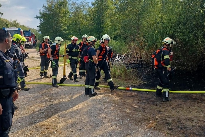 Zwei Feuerwehren waren beim Brand am Freitag in Wiener Neustadt im Einsatz.