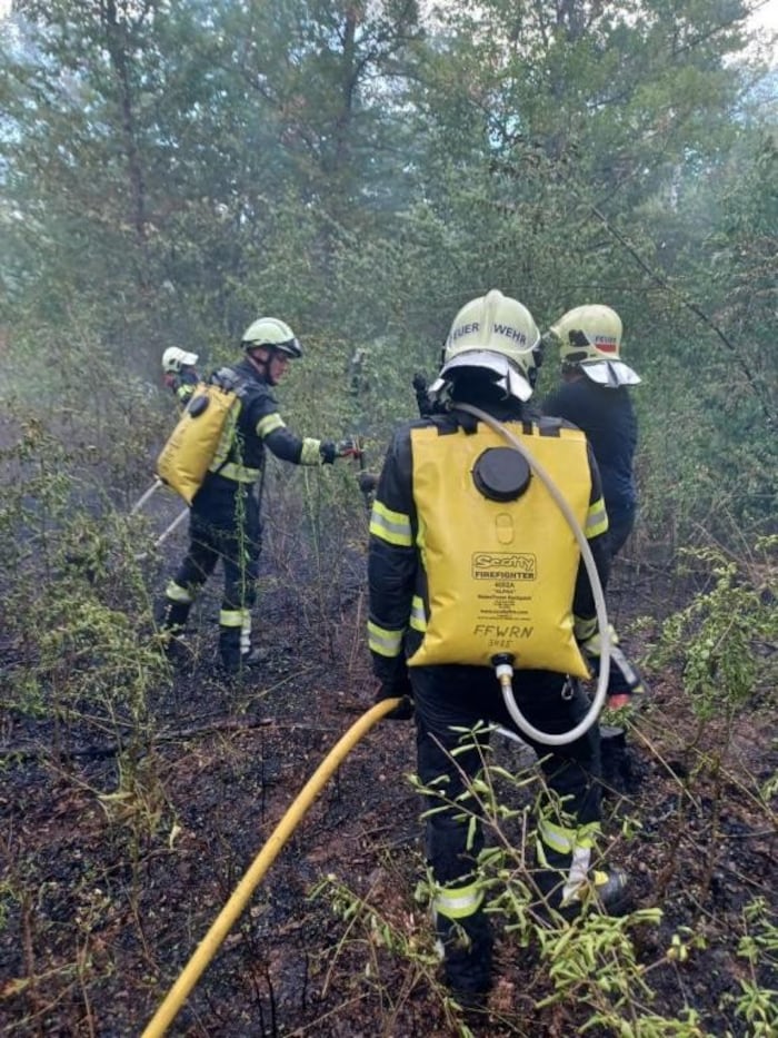 Brandbekämpfung im Föhrenwald mit spezieller Waldbrandeinsatz-Ausstattung