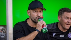 Stephan Helm