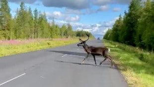 Privat Die Fahrt führte den Polizisten durch sechs Länder, unzählige Städte und gewaltige Landschaften.