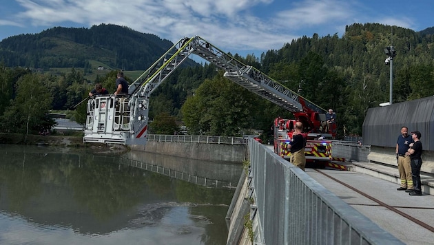 Mittels Drehleiter gelangten die Feuerwehrleute zum Öleinsatz an die Wasseroberfläche.