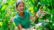 Seit 14 Jahren tüftelt Eveline Adam mit ihrem Team der Saatzucht Gleisdorf an einer Sorte, die ...