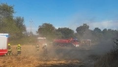 1,8 Hektar wurden ein Raub der Flammen. Jetzt steht die Brandursache fest.