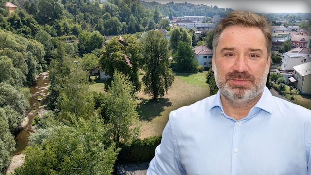 Die Bäume sollen dem neuen Ärztezentrum weichen. Bürgermeister Andreas Derntl (ÖVP) spricht von ...