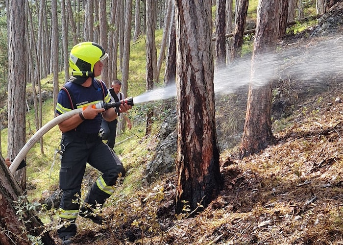 Die Löschleitungen im Wald mussten von den Feuerwehrleuten erst verlegt werden.
