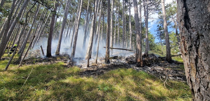 Brand in unwegsamem Gelände in Furth an der Triesting, Bezirk Baden