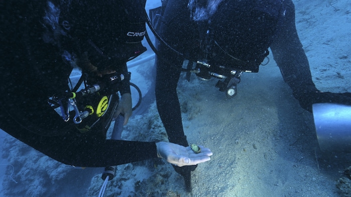 40 Goldobjekte wurden aus dem 1300 Jahre altem Wrack geborgen.