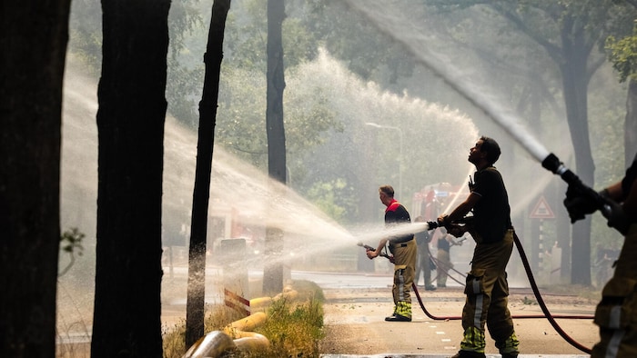 In den Niederlanden ist ein Waldbrand in einem Naturschutzgebiet ausgebrochen.