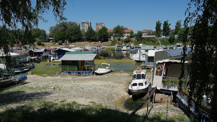 Boote im serbischen Novi Sad