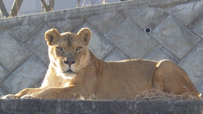 Luena, 15 Jahre alt