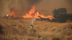 Hier kämpfen griechische Feuerwehrleute gegen die Brände.