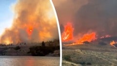Im US-Bundesstaat Washington wüten derzeit rund ein Dutzend große Waldbrände – einer davon ...
