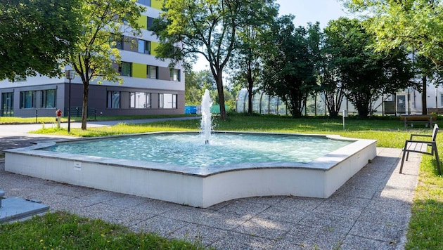 Der Brunnen im Trauner Schlosspark wird nun bis auf Weiteres trocken gelegt.