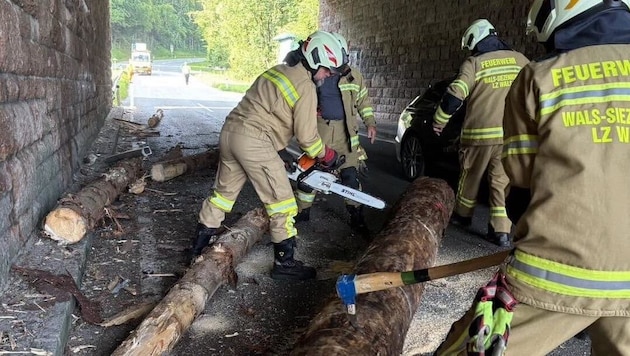 Baumstämme fielen auf die Landesstraße L114.