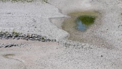 Die Hitze fällt in eine lange Dürreperiode. Wasserstände sind teilweise auf historischen ...