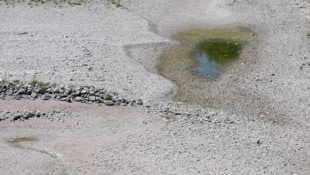 Die Hitze fällt in eine lange Dürreperiode. Wasserstände sind teilweise auf historischen ...