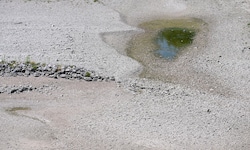 Auf der Donau herrscht historisches Niedrigwasser.