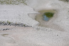 Auf der Donau herrscht historisches Niedrigwasser.