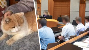 Die vier Angeklagten vor Prozessbeginn: Die Tötung von Kater „Schmotzer“ war ein Fall fürs ...