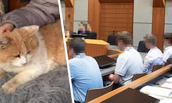 Die vier Angeklagten vor Prozessbeginn: Die Tötung von Kater „Schmotzer“ war ein Fall fürs ...