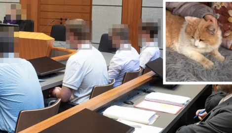 Die vier Männer mussten sich in Innsbruck dem Vorwurf der Tierquälerei stellen.