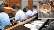 Die vier Männer mussten sich in Innsbruck dem Vorwurf der Tierquälerei stellen.