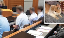 Die vier Männer mussten sich in Innsbruck dem Vorwurf der Tierquälerei stellen.