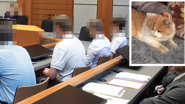 The four men faced charges of animal cruelty in Innsbruck.