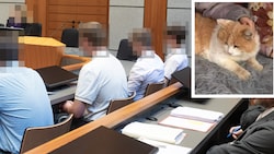 Die vier Männer mussten sich in Innsbruck dem Vorwurf der Tierquälerei stellen.