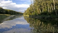 Mir dem „Fluss-Labor“ können die Donau-Auen erforscht werden.