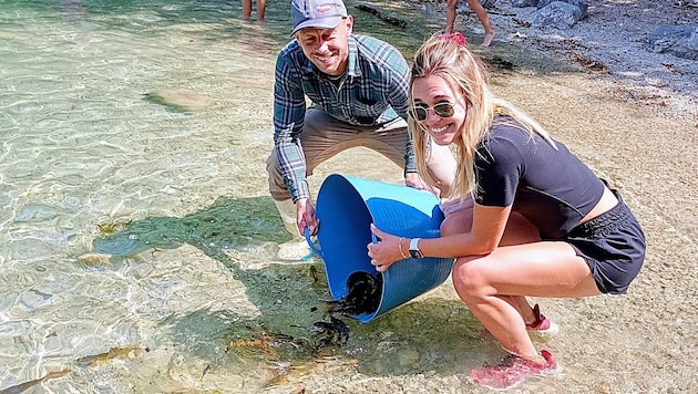 Rettungs- aktion für die Fische im Langbathbach. Im See haben die Tiere eine neue Heimat.