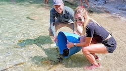 Rettungs- aktion für die Fische im Langbathbach. Im See haben die Tiere eine neue Heimat.
