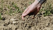 das Klimaphänomen El Niño kann extreme Dürren auslösen.