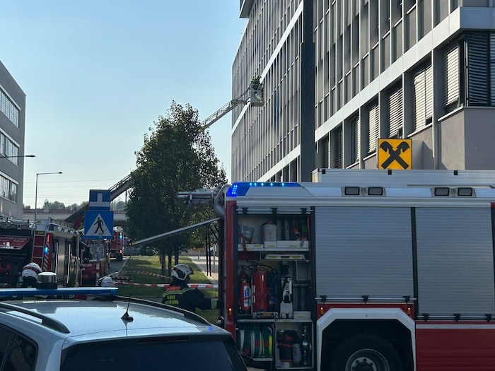 Mit der Drehleiter gelangten die Einsatzkräfte der Berufsfeuerwehr in das Innere.