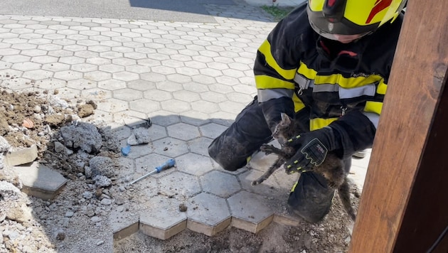 Die Feuerwehr musste mit schwerem Gerät anrücken.